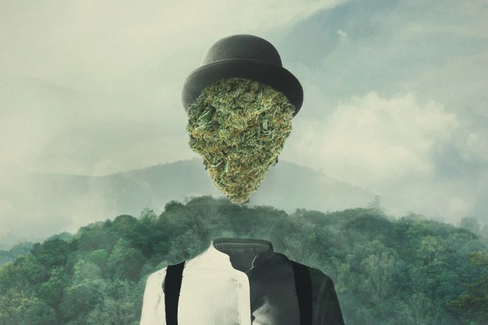 Cannabis effecten: Waarom Je High Wordt Van Wiet - RQS Blog High-performance computing (HPC)