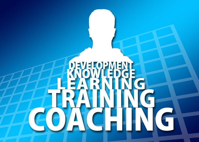 Consulting Training Learn · Free photo on Pixabay How to learn Python
