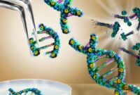 CRISPR and gene editing tools
