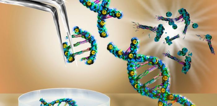 CRISPR Basics and Gene Editing Applications - DrOmics Labs CRISPR and gene editing tools