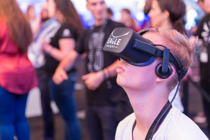 Golden eagle - Aquila chrysaetos - Creative Commons Bilder VR gaming experiences