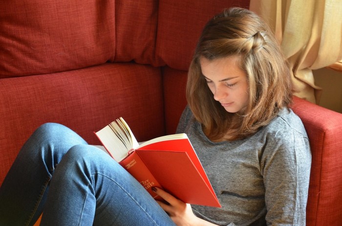 Read Book Girl · Free photo on Pixabay How to learn Python