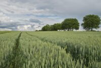 Agriculture technology advancements