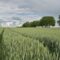 Agriculture technology advancements